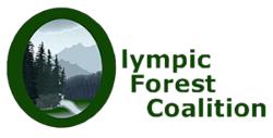 Olympic Forest Coalition Logo