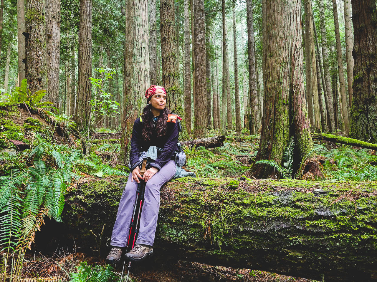 Woman siting on a large log in a beautiful temperate rainforest