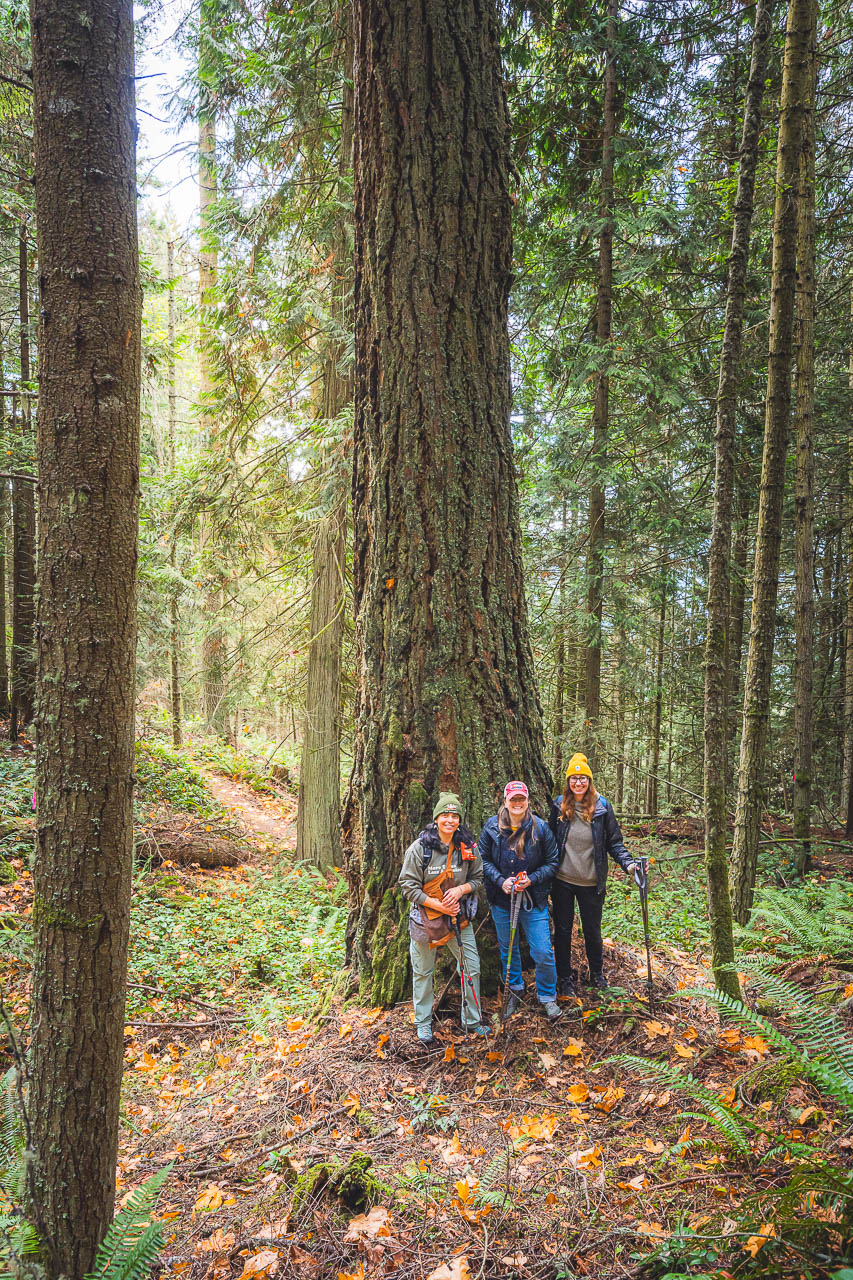 Three women stand in front of an old growth douglas fir tree in Power Station