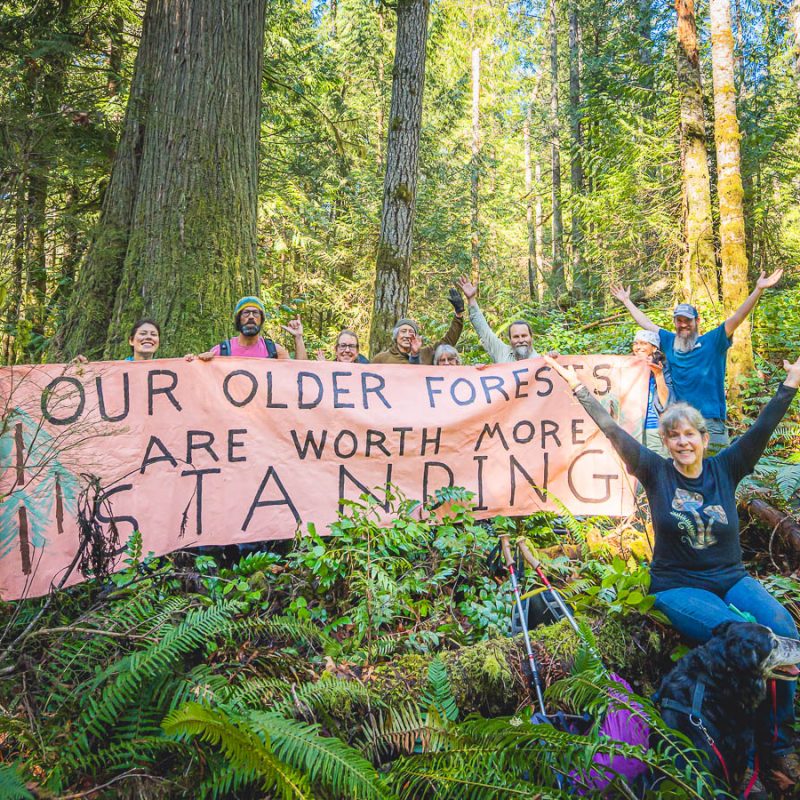 A group of people in the temperate rainforest holding a sign that reads "Our older forests are worth more standing"