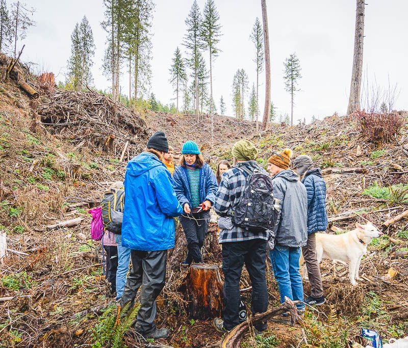 A circle of people stand around a freshly cut tree stump in what used to be a lush, diverse forest and is now a clear cut.