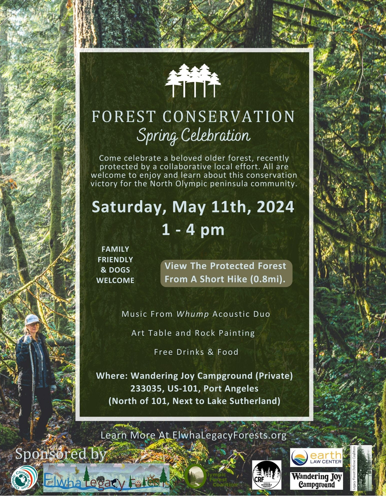 Shore Thing Forest Celebration Flyer