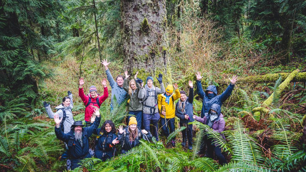 A group of people pose for a photo with arms raised in a dense, temperate rainforest, standing in front of a very large silver spruce tree.