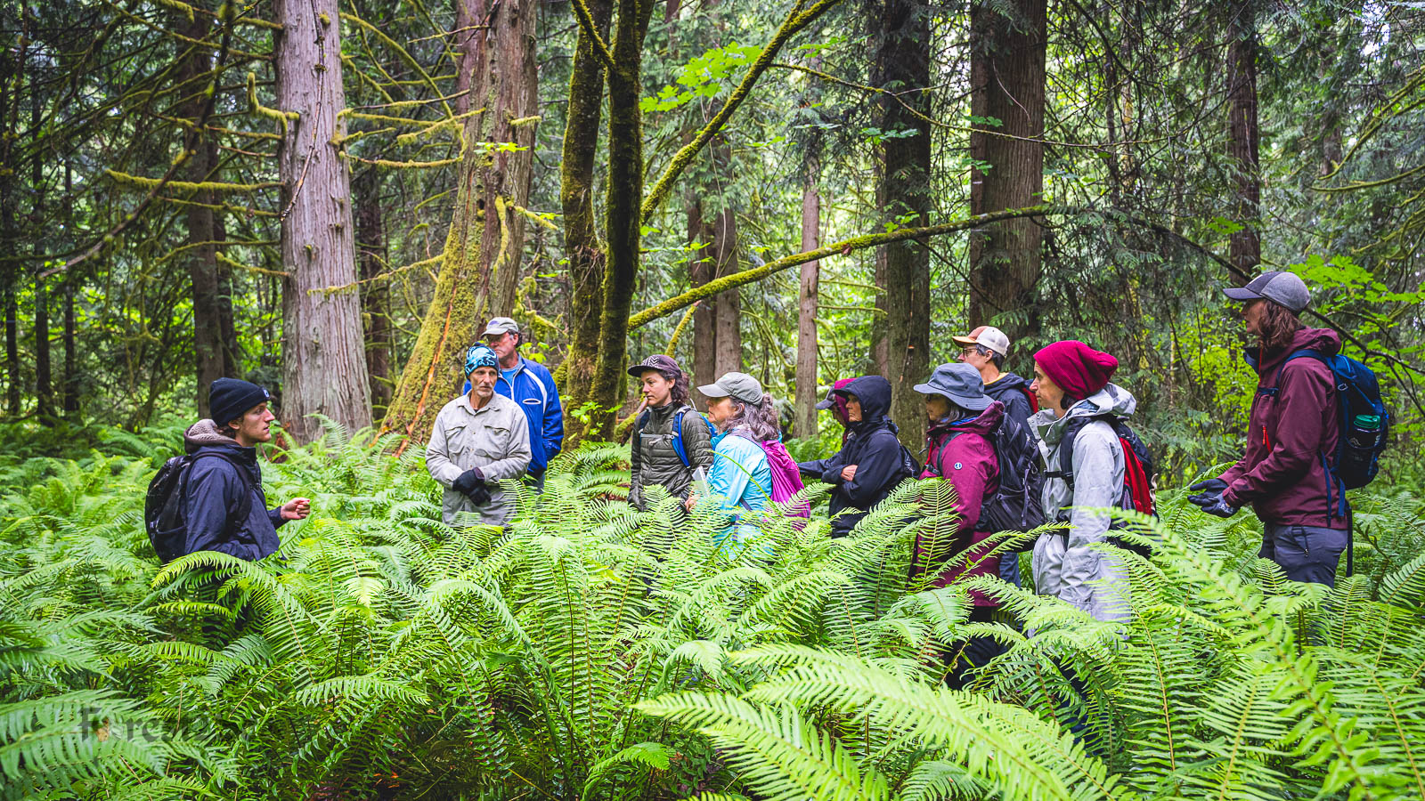 Forest Field Survey Training