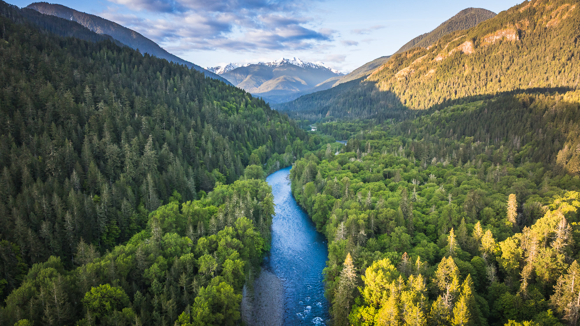 Aerial view looking up a forested river valley towards snow-capped mountains.