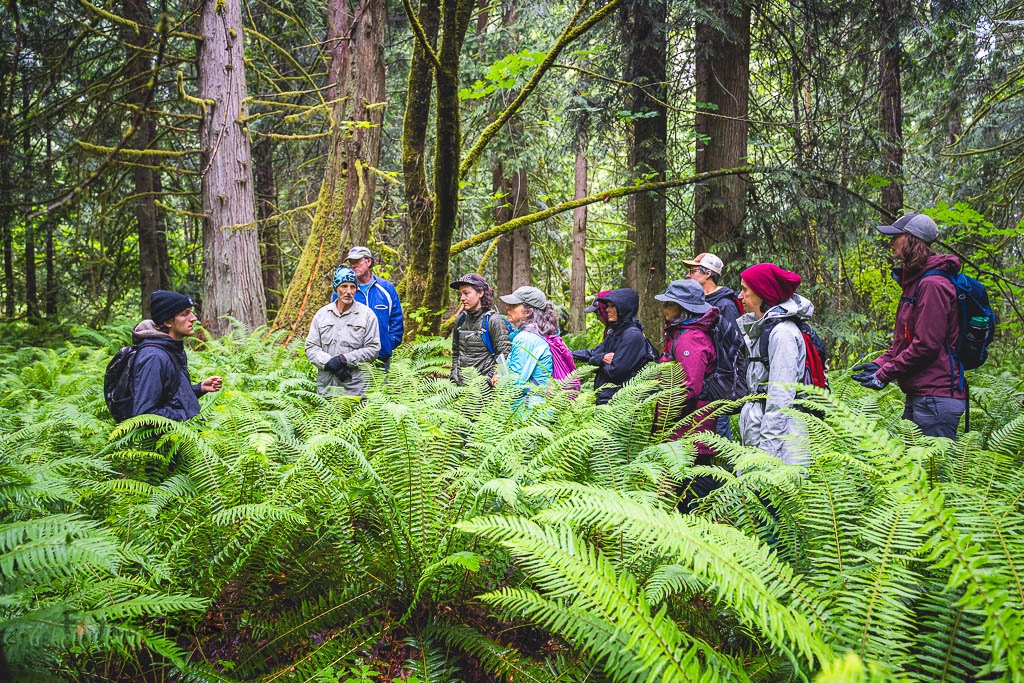 SukeGrassRoots　FOREST Forest Field Survey Training - Elwha Legacy Forests